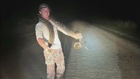 Hunter calls for change to Python Challenge