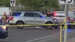 Woman and her dog killed by hit-and-run drivers: PD