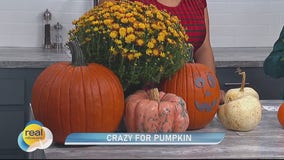 Pumpkin season at Pick 'n Save