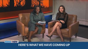 Halloween Buzz: Swedish Candy Craze, Pet Monkey Chaos & Trending Costumes Take Over | ChicagoNOW