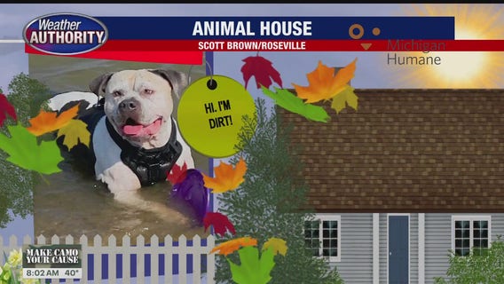 Welcome Dirt, Louis, Esmerelda