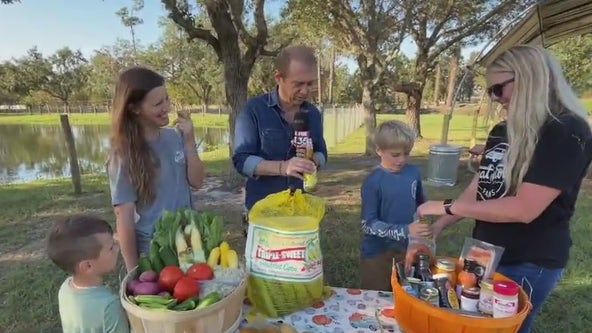 The return of the Fall Festival at Great Scott Farms