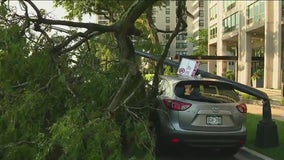 Heavy rain, powerful winds pummel Chicago neighborhoods