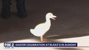 Blake's annual Easter Brunch