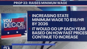 You Decide 2024: Some CA races, props explained