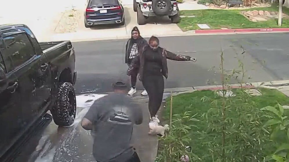 Woman sought after kicking dog in Pittsburg