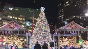 Fighting food insecurity for Detroit homes at annual downtown tree lighting