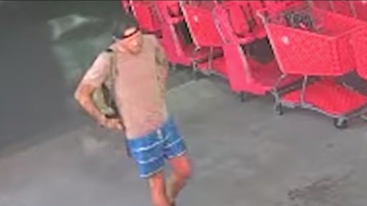 Two charged in car burglaries, credit card fraud