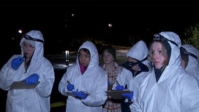 Hamline students investigate mock crime scenes