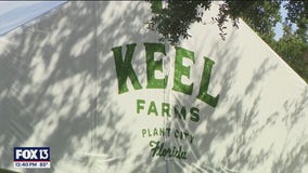 Watermelon Weekend at Keel Farms