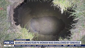 Pennsylvania grandmother may have fallen into sinkhole looking for lost cat