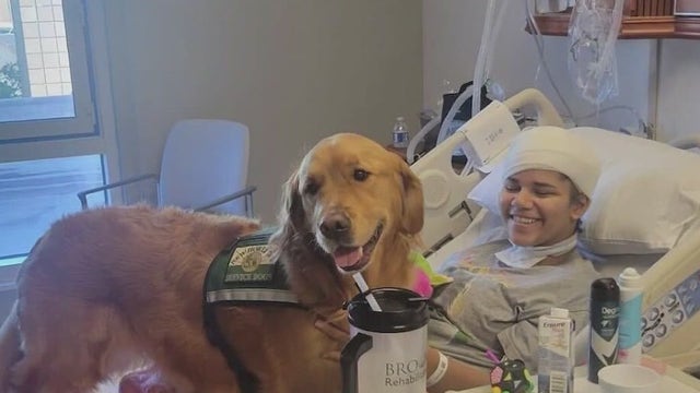 Florida teen continues recovery after being shot in the head