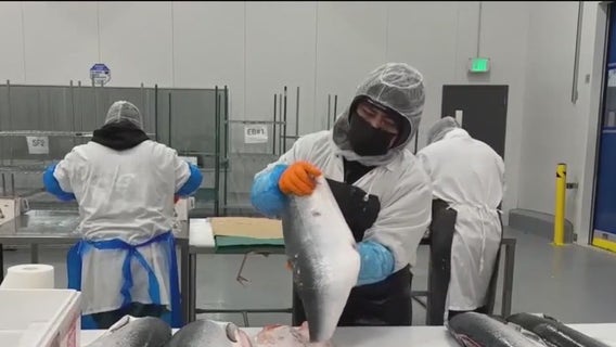 'Sushi will definitely be more expensive' because of tariffs, Hayward wholesaler says