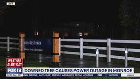 Downed trees causes power outage in Monroe, WA