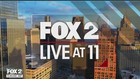 Trending this week on our website (November 11th, 2025)