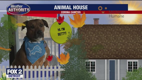 Welcome Kiavuh, Draco, Pickle, Betty, Squirt