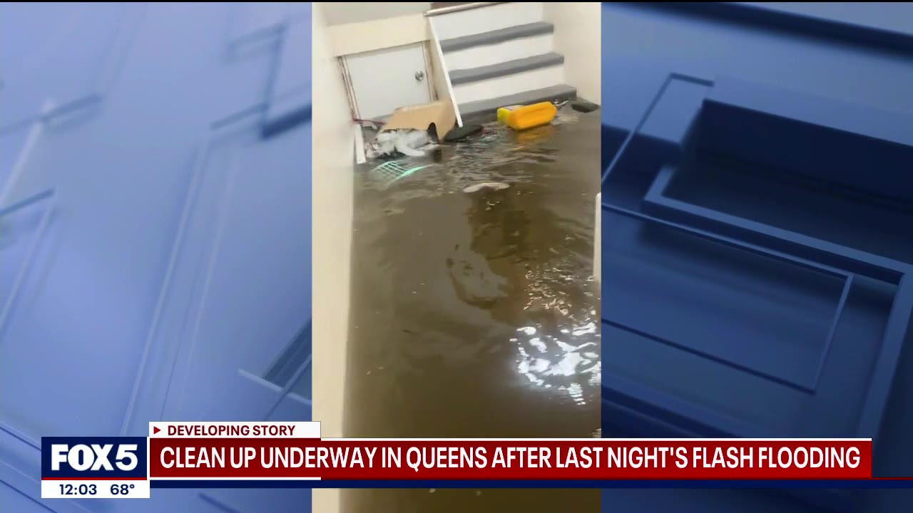 Clean up underway in Bayside after flash flooding