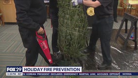 Philly Fire Department demonstrates Christmas tree safety