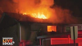 Fatal Greenspoint fire, NBA gambling scandal, ICE LAND at Moody Gardens, and more