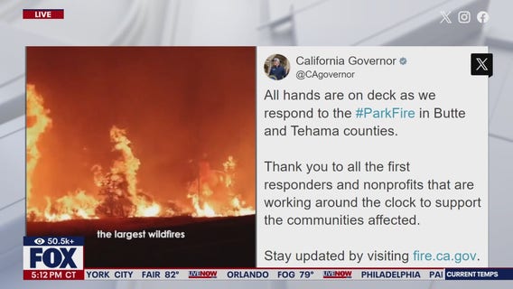 Study: Wildfire smoke may be worse for your brain than other air pollution