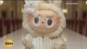 iPhone upgrades, Vicki Lawrence & more | The Ten