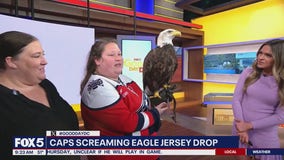 Caps Celebrate Screaming Eagle Friday with Live Eagle Visit