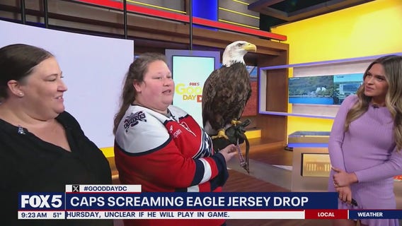 Caps Celebrate Screaming Eagle Friday with Live Eagle Visit