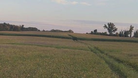 New Prague school bus plows through field