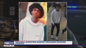 Teen mall shooting suspect released on bond
