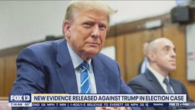 New evidence released against Donald Trump in election case