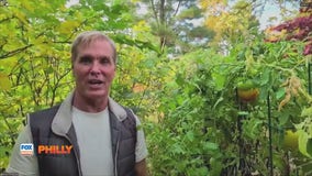 Plants vs. Weather: Chester County horticulturist breaks down what's happening this fall | FOX Weather Philly