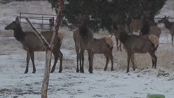 Storm brings snow to parts of Arizona high country