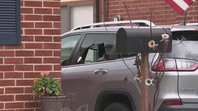 Pellet gun attacks on cars frustrate Warren residents