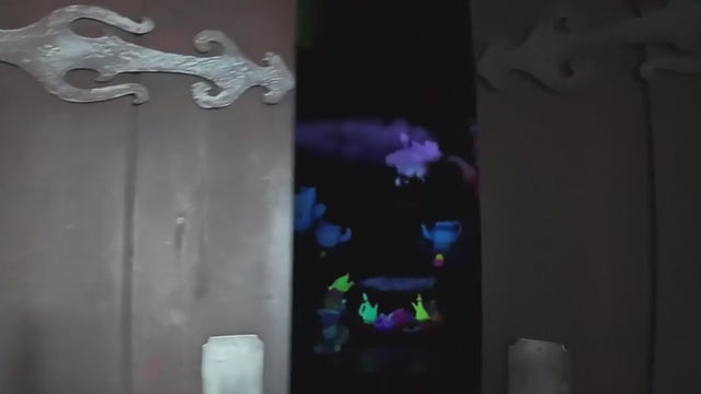 Disneyland ride malfunctions, car crashes through double doors