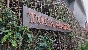 Bayou City Buzz: Toca Madera