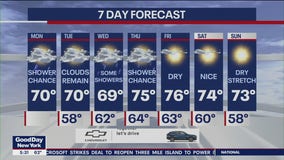 NYC weather forecast