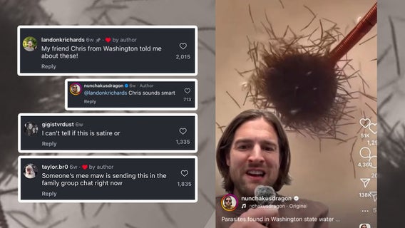 Social media post sparks parasite concerns in WA