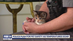Bothell Police push for pet safety as temperatures soar
