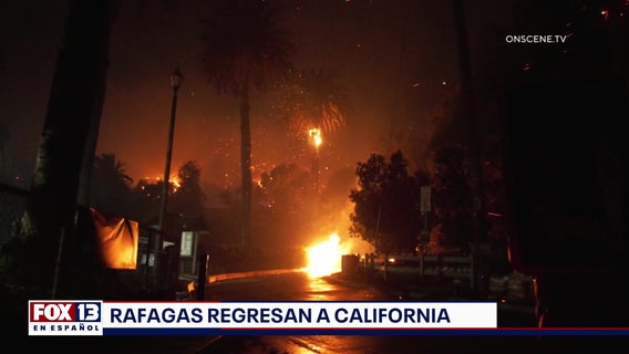 Últimas noticias con el noticiero FOX 13 Seattle: Martes, 14 de enero