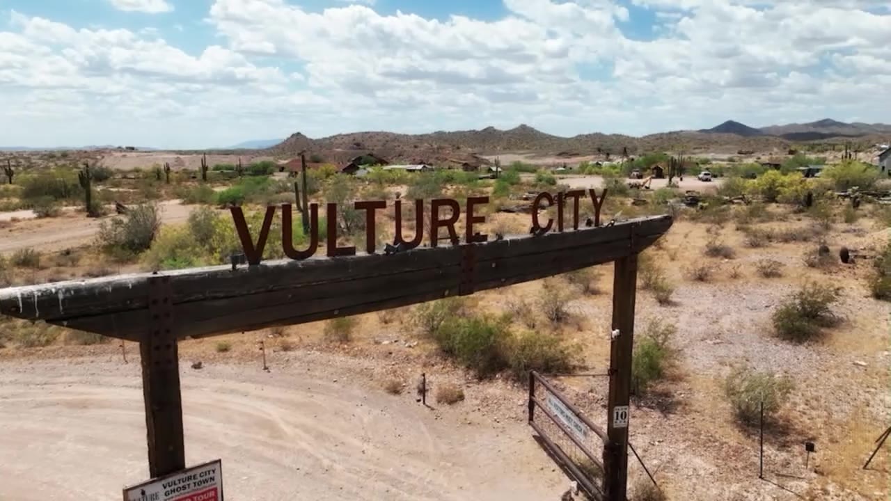 Vulture City | Drone Zone