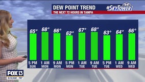 Tampa weather | Possible afternoon showers Sunday