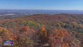 Fall foliage peak color in Maryland