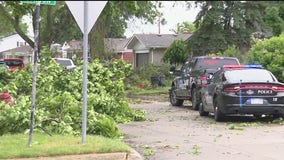 Tree falls on Livonia home, sources say baby trapped