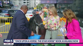 Mini horse pees on Curt Menefee on live TV