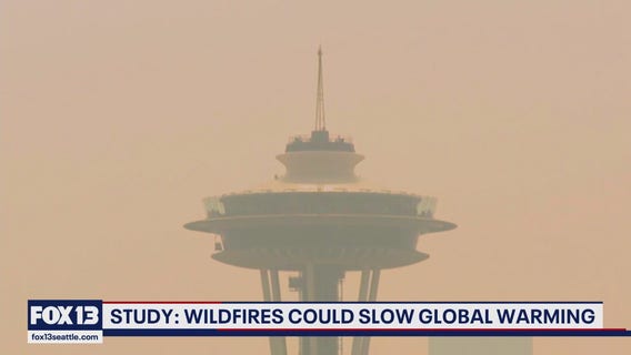 UW studies show wildfires could slow global warming