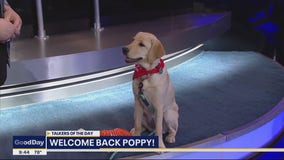 Poppy visits Good Day