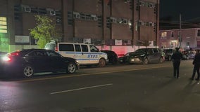 Woman struck and killed by minivan in Brooklyn