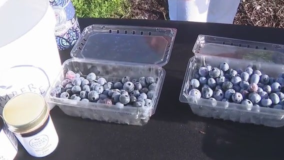 Blueberry Festival at Amber Brooke Farms
