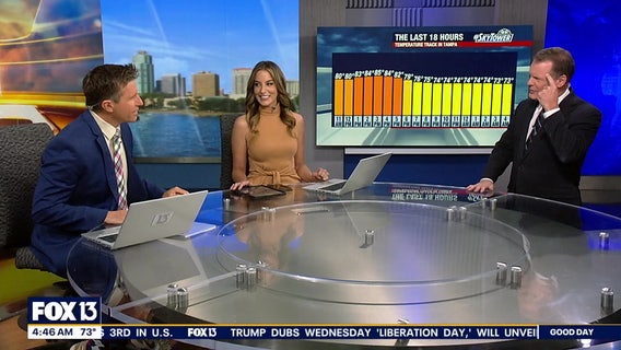 Good Day Goodies: April 11, 2025