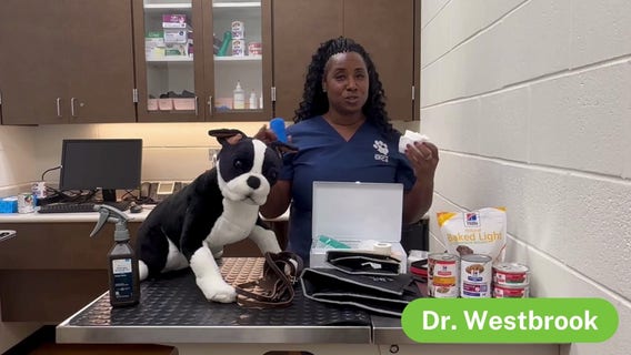 Pet first-aid, emergency's at home | Pet Pawcast